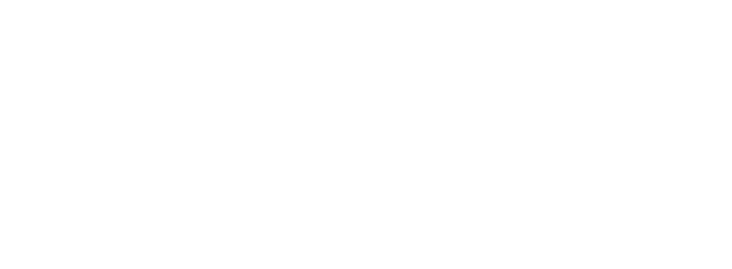 Solvantii